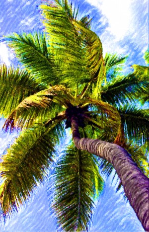 Tropical Palm